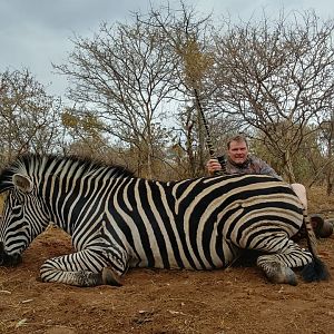 Burchell's Plain Zebra Hunting South Africa