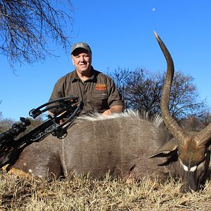 South Africa Bow Hunt Nyala