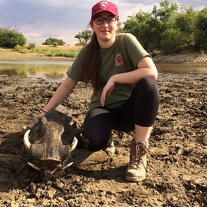 Warthog Hunt Namibia