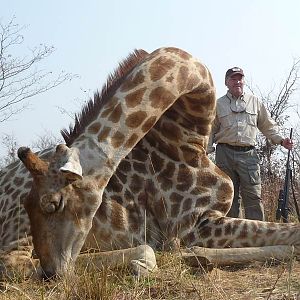 Giraffe Hunt Namibia