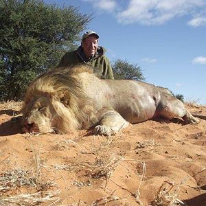 Hunt Lion in Namibia