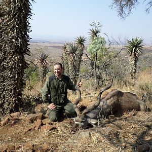 Greater Kudu on the Hills of Mpumalanga