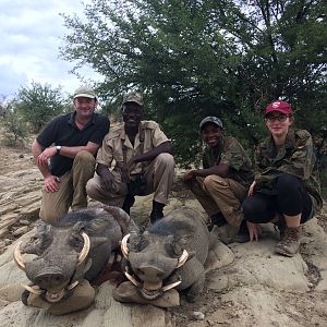 Warthog Hunting Namibia