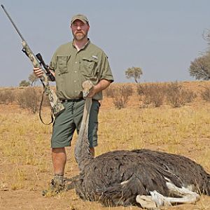 Hunting Ostrich in Namibia