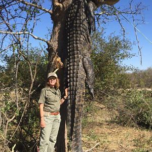 Crocodile Hunt Namibia