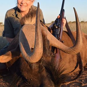 Namibia Hunting Black Wildebeest