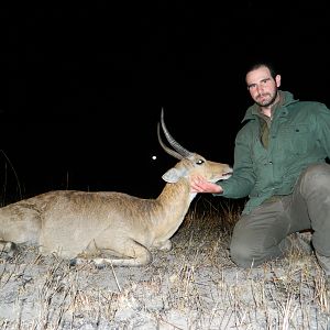 Common Reedbuck Hunt South Africa