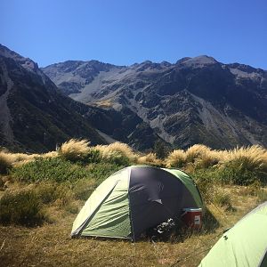 Hunting in New Zealand