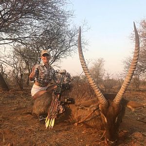 South Africa Bow Hunting Waterbuck