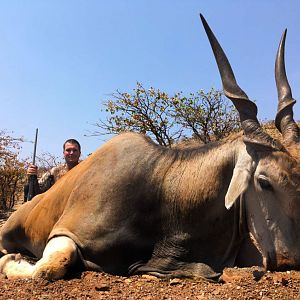 Eland Hunt Namibia