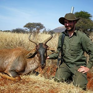 Hunting Tsessebe in South Africa