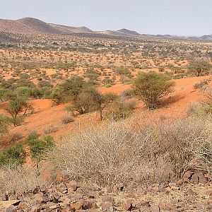 Panorama Camp Namibia