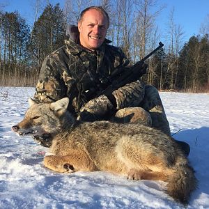 Hunting Coyote in Canada