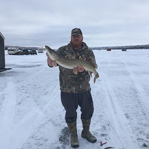 Icefishing Pike in Canada