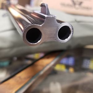 Sabatti Safari Double Rifle Barrel