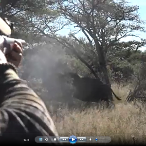 Hunting in South Africa with Hartzview Hunting Safaris