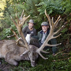 Red Stag Hunt New Zealand