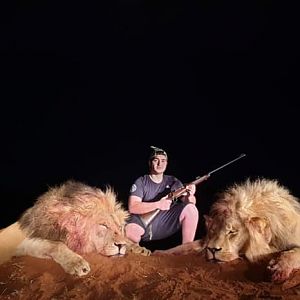 Lion Hunt South Africa