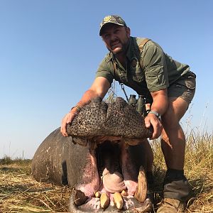 Caprivi Namibia Hunting Hippo