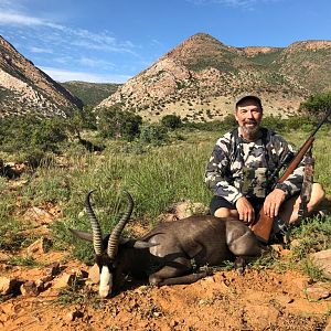 Black Springbok Hunt South Africa