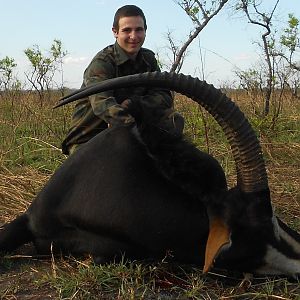 Roosevelt's Sable from Kilwa Tanzania