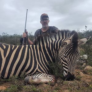 Burchell's Plain Zebra Hunt South Africa