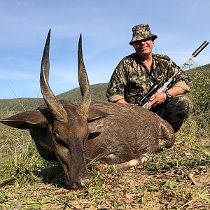 South Africa Hunt Bushbuck