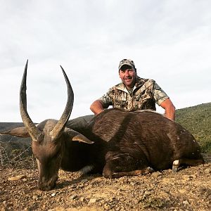 Bushbuck Hunting South Africa