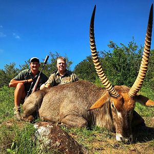 32” Inch Waterbuck Hunt South Africa