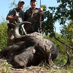 Cape Buffalo Hunting South Africa