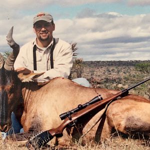 Hunting Red Hartebeest in South Africa