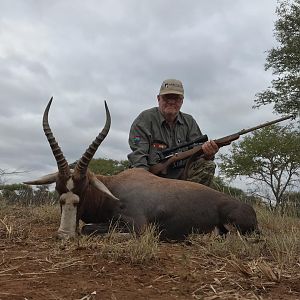 Hunt Blesbok in South Africa