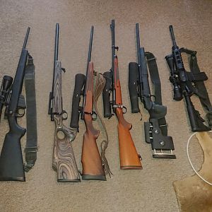 Rifle Collection