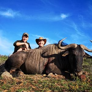 Hunt Blue Wildebeest in South Africa