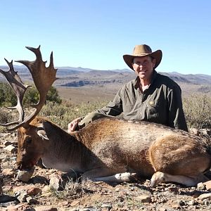 South Africa Hunting Fallow Deer