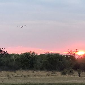 Sunset in Zimbabwe