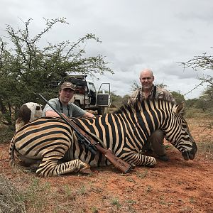 Burchell's Plain Zebra Hunting South Africa