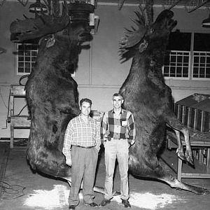 Moose Hunting