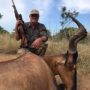 Red Hartebeest Hunting South Africa