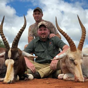 Common and White Blesbok Hunt South Africa