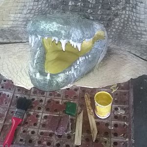 Crocodile rug with replica head ready for painting