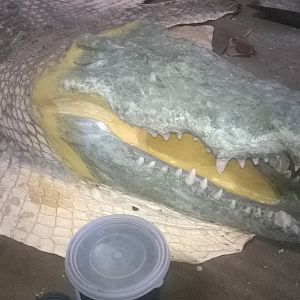 Crocodile rug with replica head ready for painting