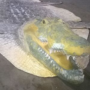 Crocodile rug with replica head ready for painting