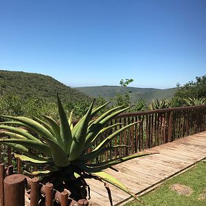 Hunting Lodge in South Africa