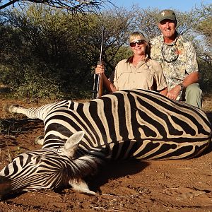 Burchell's Plain Zebra Hunt South Africa