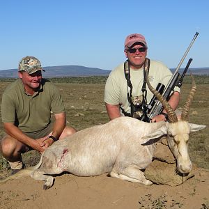 White Blesbok Hunting South Africa