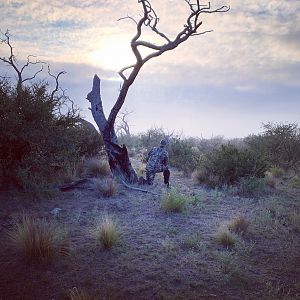 Bow Hunting in Argentina