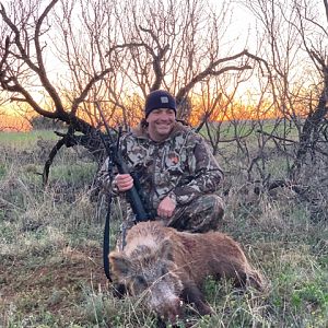 Texas USA Hunting Eurasian Boar