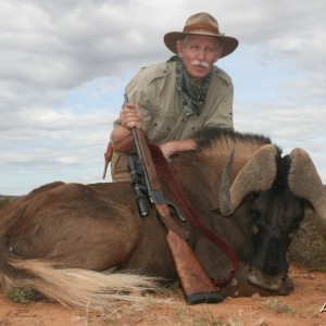 Black Wildebeest
