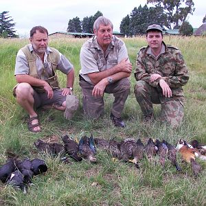 Bird Hunting with Clients